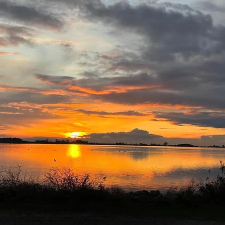 Σπίτι διακοπών 8237-vordingborg-vildgasvej-7 *